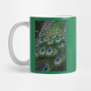 Javan Green Peafowl Mug